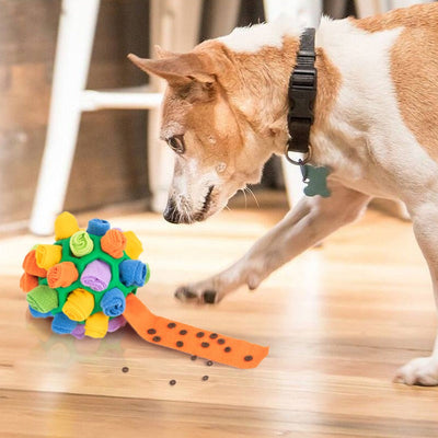 SnuffleMaster Interactive Dog Treat Ball – Foraging and Enrichment Toy