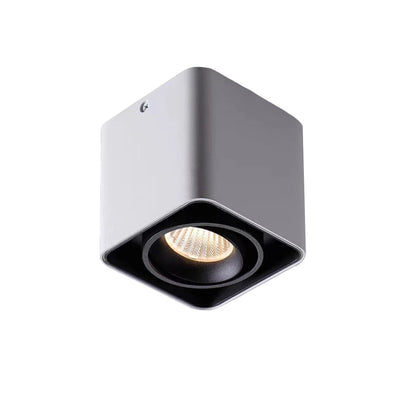 Square Adjustable Ceiling Lamp with Dimmable LED Light