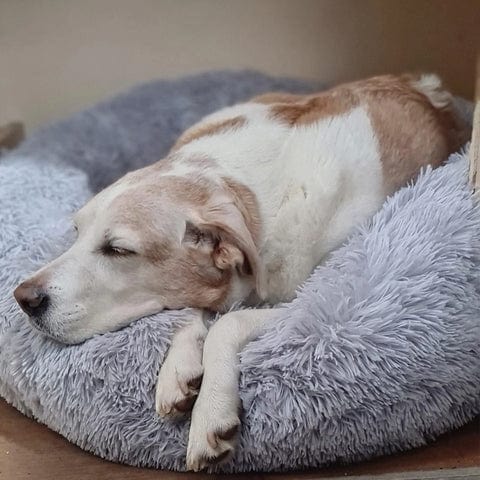 Fluffy Calming Pet Bed for Dogs and Cats