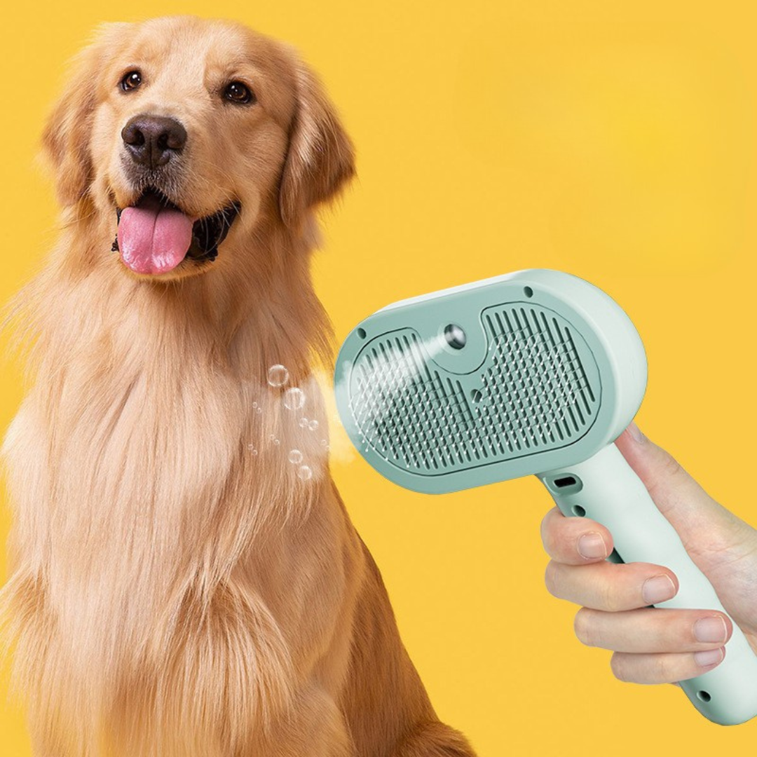 Pet Steam Brush for Gentle Grooming Cats and Dogs