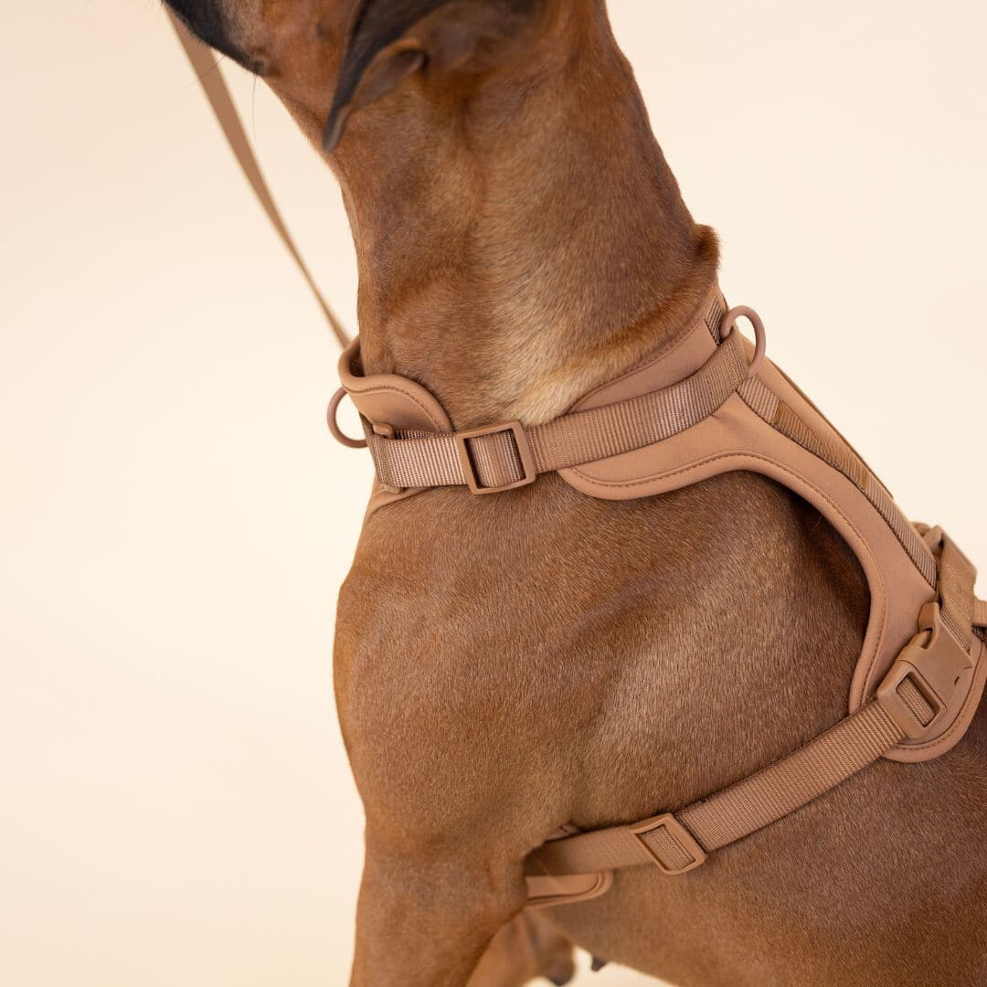 ComfyPaws Dog Harness Walking Set with Leash and Poop Bag Holder