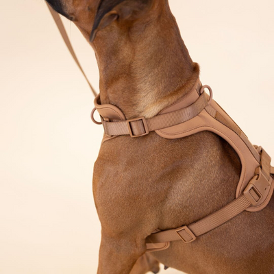 ComfyPaws Dog Harness Walking Set with Leash and Poop Bag Holder