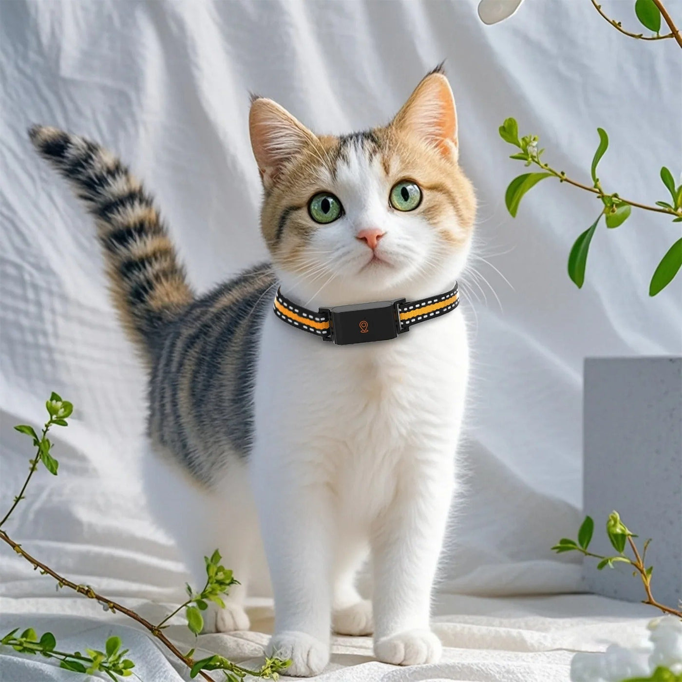 GPS Dog and Cat Collar – Unlimited Range Real-Time Tracker