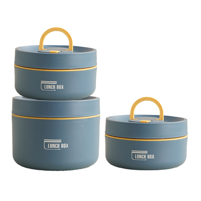 Multi-Layer Insulated Lunchbox with Free Carry Bag