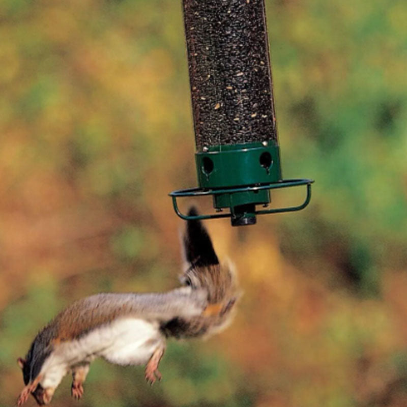 Squirrel-Proof Bird Feeder – 5lb Seed Tube with 4 Ports
