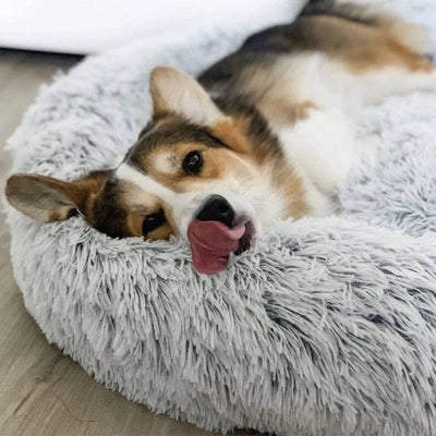 Fluffy Calming Pet Bed for Dogs and Cats
