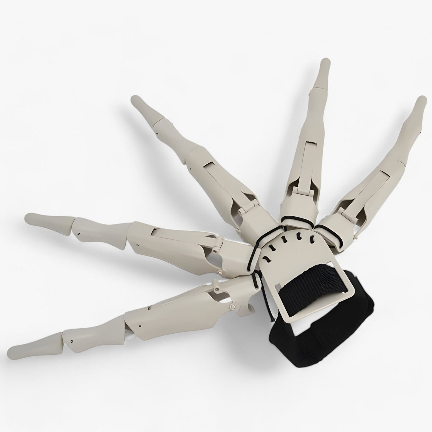Claw | Curled Skeletal Fingers - Realistic Horror Glove