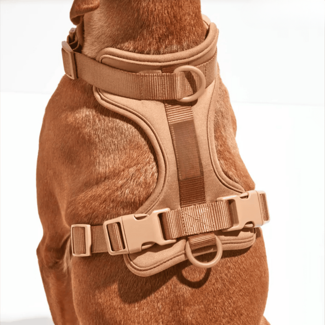 ComfyPaws Dog Harness Walking Set with Leash and Poop Bag Holder