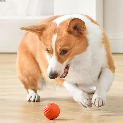 Interactive Rechargeable Jumping Ball Toy for Dogs