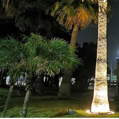 Warm White Outdoor LED Tree Uplight