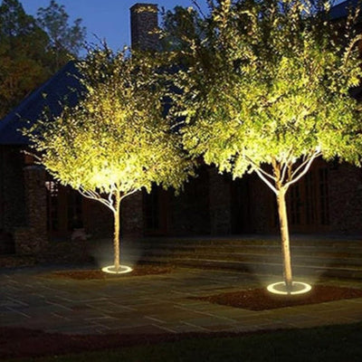 Warm White Outdoor LED Tree Uplight
