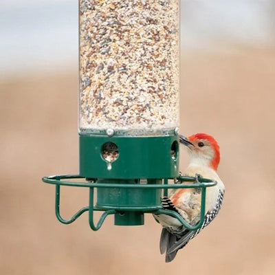 Squirrel-Proof Bird Feeder – 5lb Seed Tube with 4 Ports
