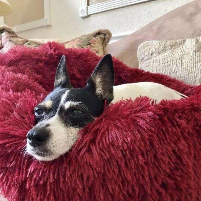 Long Plush Donut Pet Bed with Washable Cover and Non-Slip Base