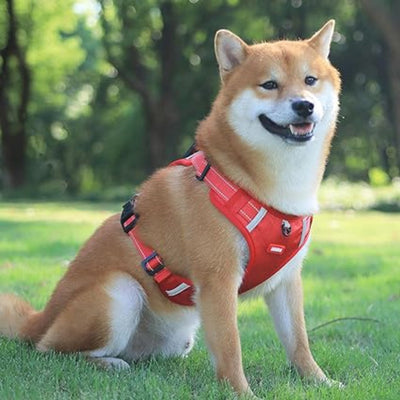PawEase Adjustable Anti-Stick Dog Harness – Washable and Comfortable