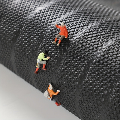 Weather-Resistant Indoor Outdoor Doormat