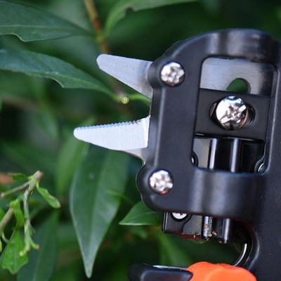 Garden Grafting Shears – Precise Pruning Tool