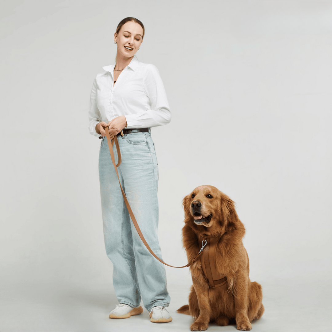 ComfyPaws Dog Harness Walking Set with Leash and Poop Bag Holder