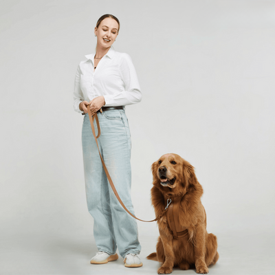 ComfyPaws Dog Harness Walking Set with Leash and Poop Bag Holder