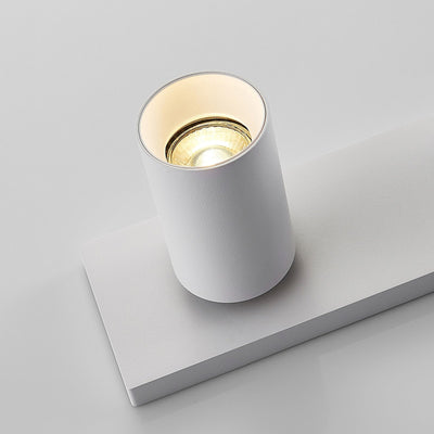 Ceiling Spotlight Fixture with 3 Adjustable Lights