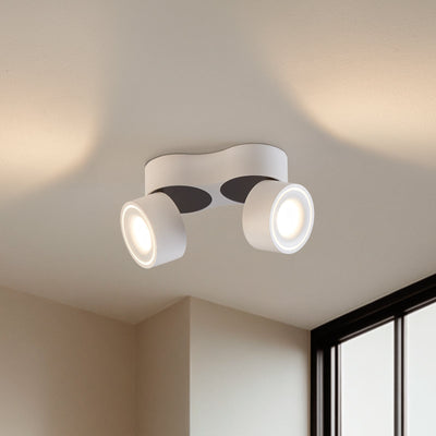 Dual LED Ceiling Spotlight with Adjustable Heads