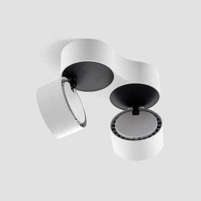 Dual LED Ceiling Spotlight with Adjustable Heads