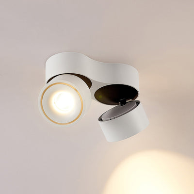 Dual LED Ceiling Spotlight with Adjustable Heads