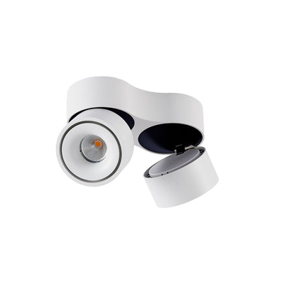 Dual LED Ceiling Spotlight with Adjustable Heads