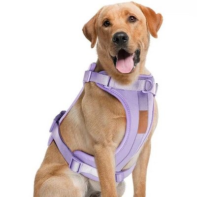 ComfyPaws Dog Harness Walking Set with Leash and Poop Bag Holder