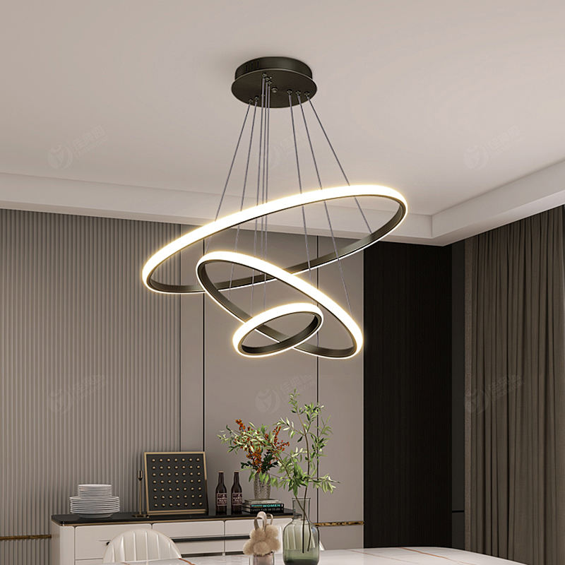 Adjustable LED Ring Ceiling Light – Modern Design