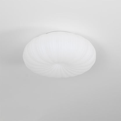Robby Design Ceiling Light