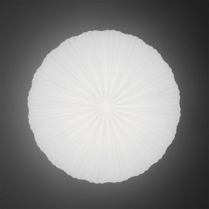 Robby Design Ceiling Light