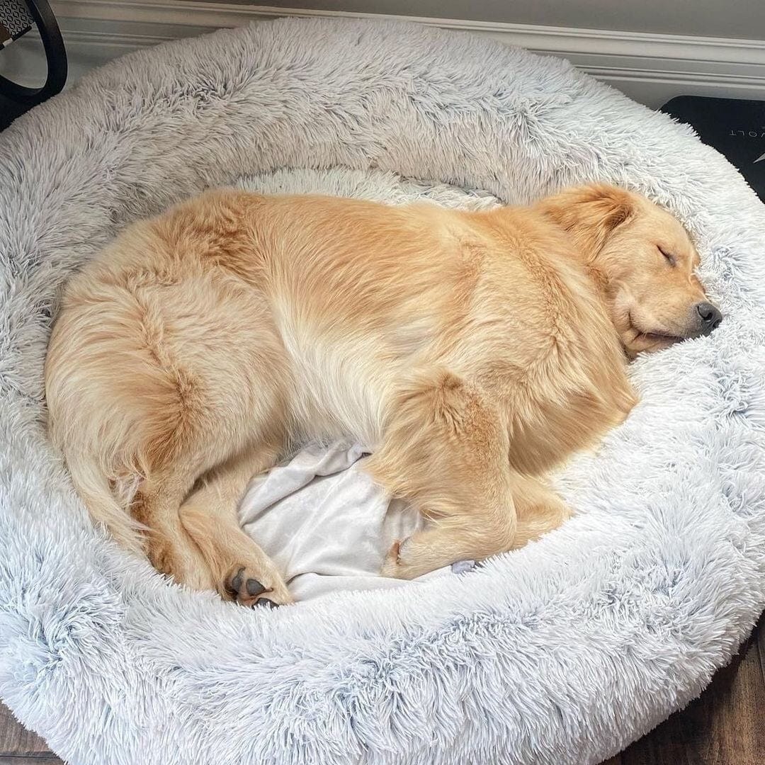 Fluffy Calming Pet Bed for Dogs and Cats