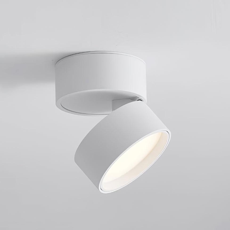 Surface Ceiling Lamp