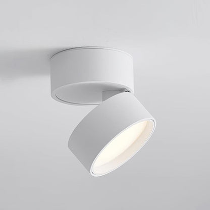Surface Ceiling Lamp