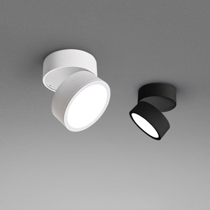 Surface Ceiling Lamp