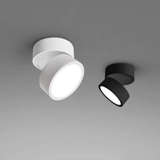 Surface Ceiling Lamp