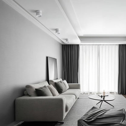 Surface Ceiling Lamp