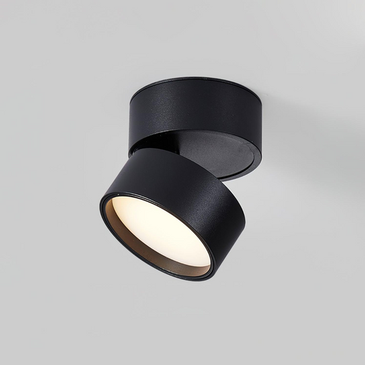 Surface Ceiling Light