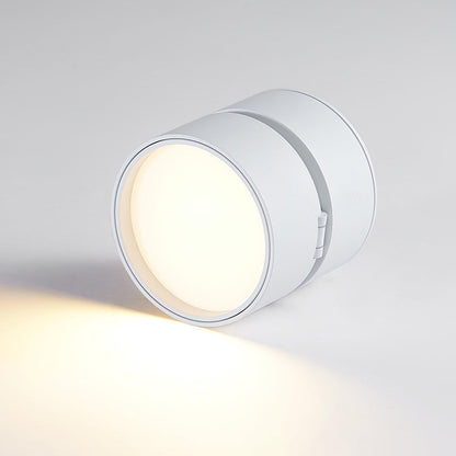 Surface Ceiling Lamp