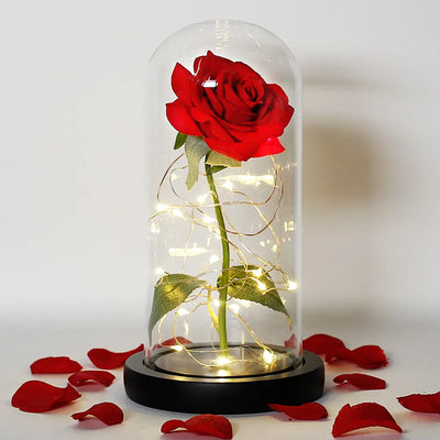Eternal Rose in Glass Dome with LED Lights