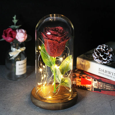 Eternal Rose in Glass Dome with LED Lights