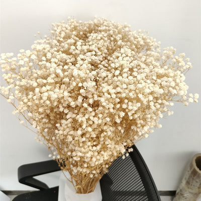 Dried Preserved Gypsophila Flower Bouquet – Natural Decor