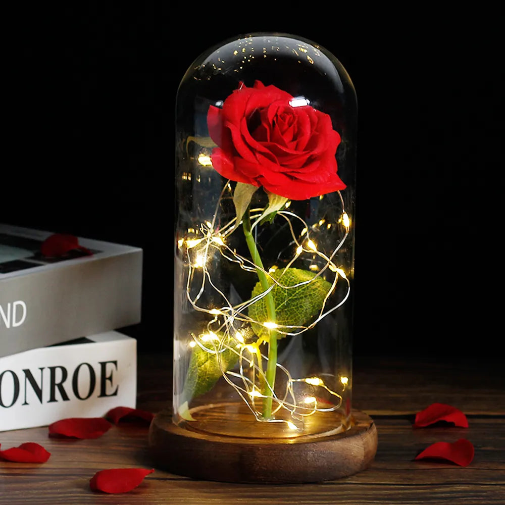 Eternal Rose in Glass Dome with LED Lights