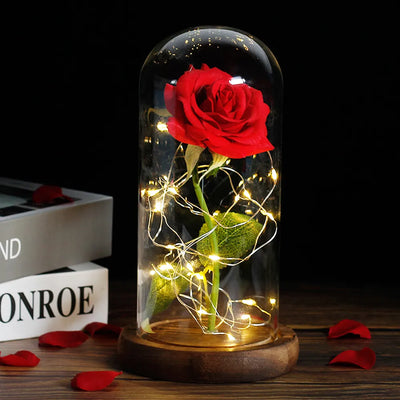 Eternal Rose in Glass Dome with LED Lights