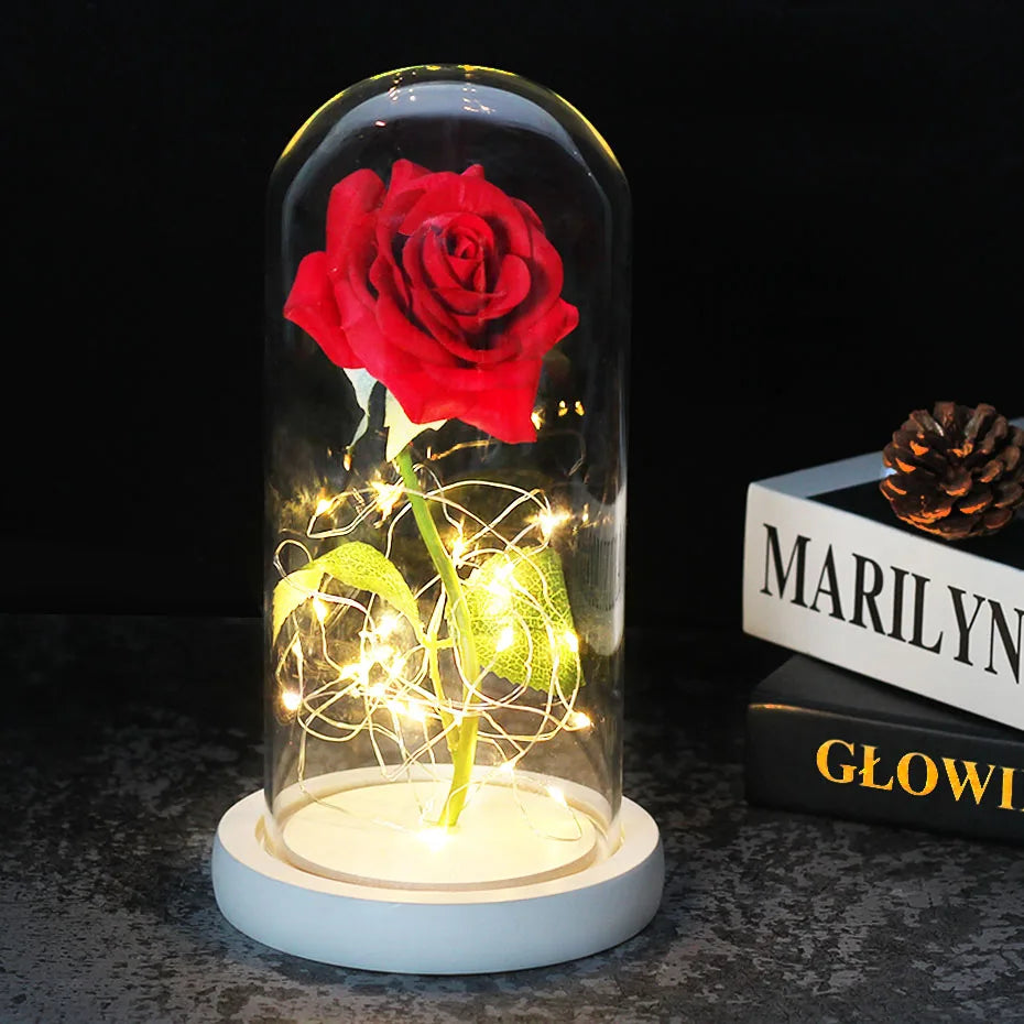 Eternal Rose in Glass Dome with LED Lights