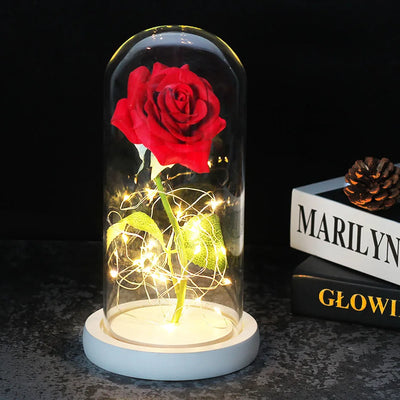 Eternal Rose in Glass Dome with LED Lights