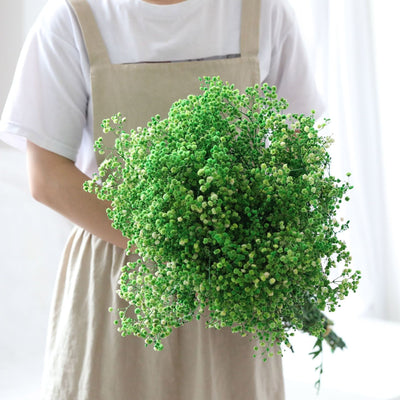 Dried Preserved Gypsophila Flower Bouquet – Natural Decor
