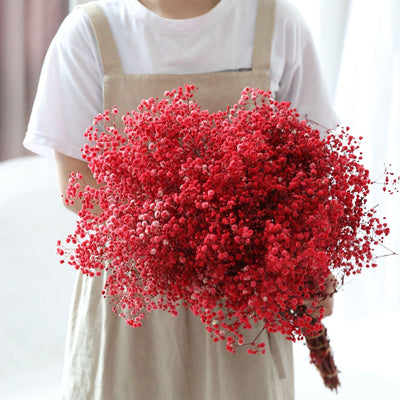 Dried Preserved Gypsophila Flower Bouquet – Natural Decor