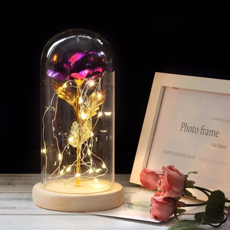 Eternal Rose in Glass Dome with LED Lights