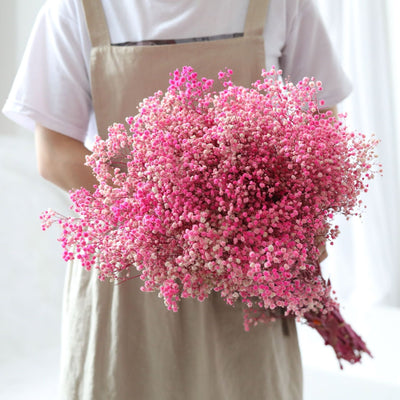 Dried Preserved Gypsophila Flower Bouquet – Natural Decor